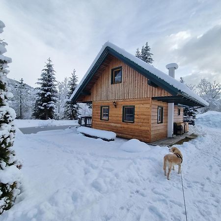 Chalet Am Teich Familie Gaenser Villa Feistritz am Kammersberg ภายนอก รูปภาพ