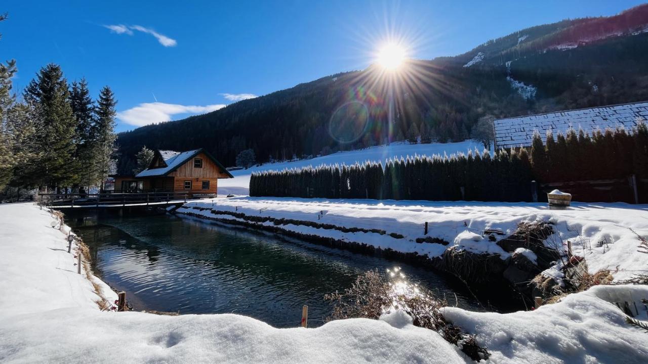 Chalet Am Teich Familie Gaenser Villa Feistritz am Kammersberg ภายนอก รูปภาพ