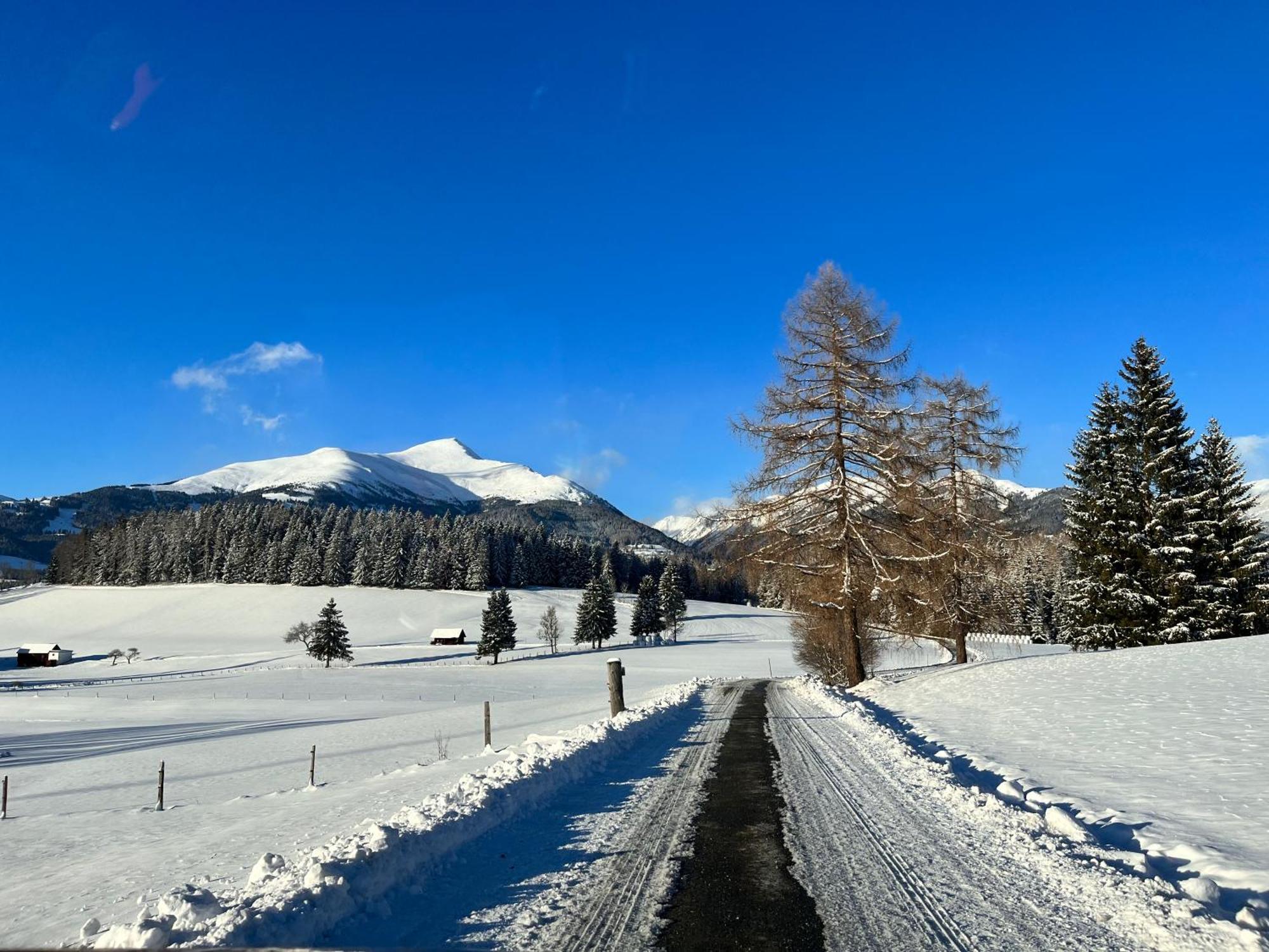 Chalet Am Teich Familie Gaenser Villa Feistritz am Kammersberg ภายนอก รูปภาพ