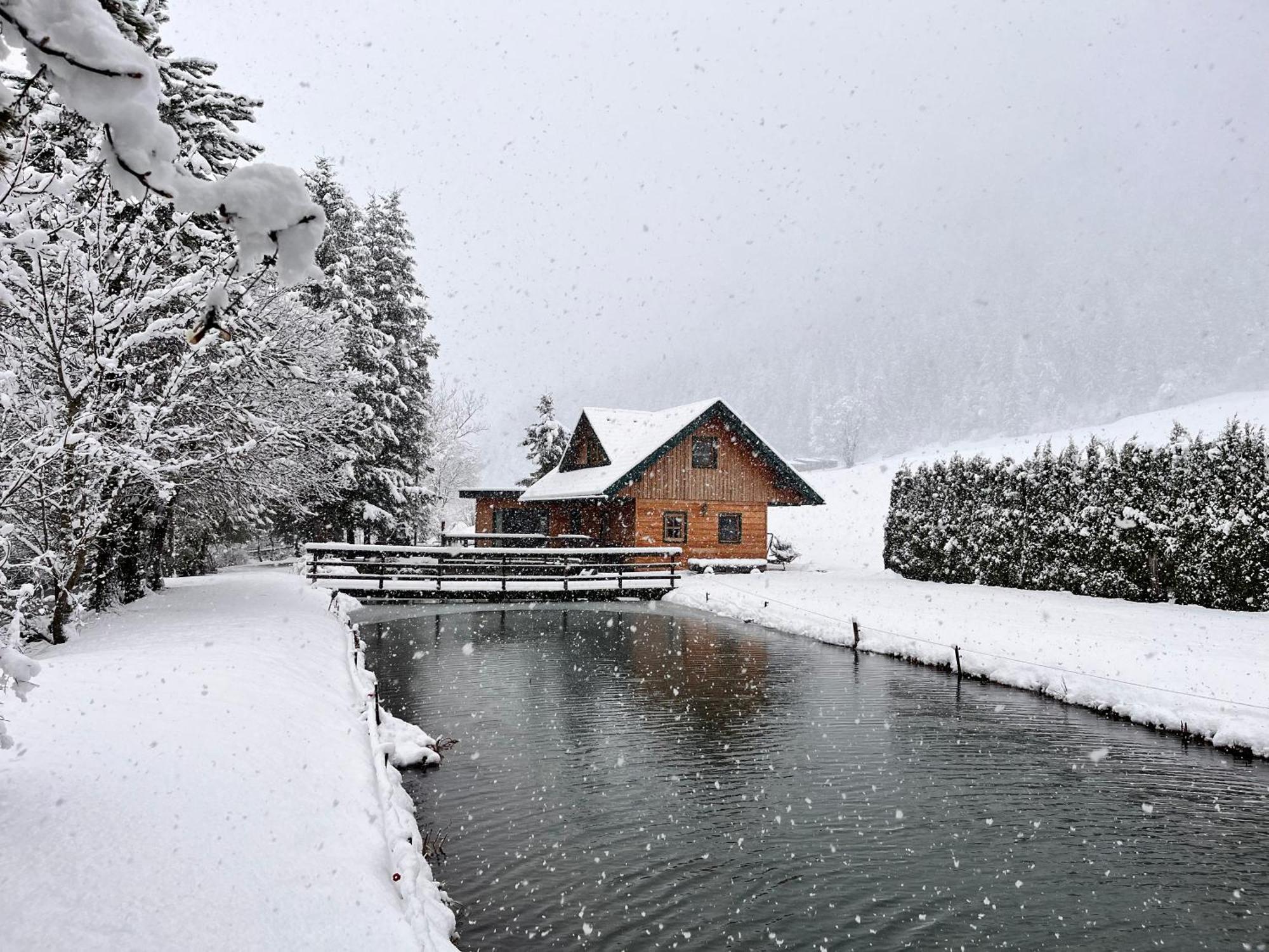Chalet Am Teich Familie Gaenser Villa Feistritz am Kammersberg ภายนอก รูปภาพ