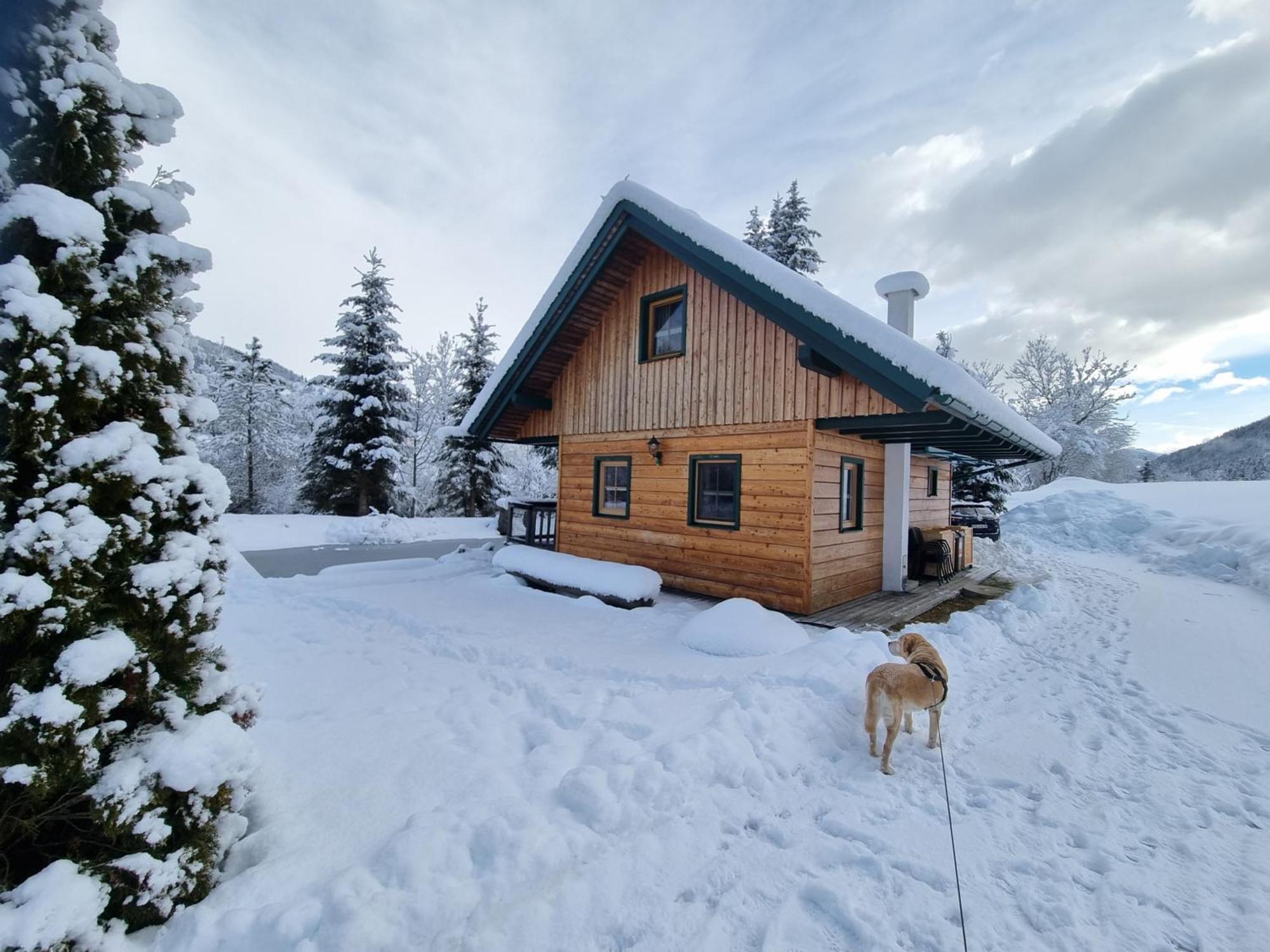 Chalet Am Teich Familie Gaenser Villa Feistritz am Kammersberg ภายนอก รูปภาพ