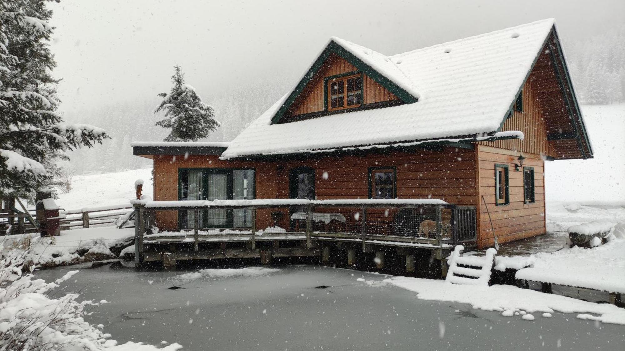 Chalet Am Teich Familie Gaenser Villa Feistritz am Kammersberg ภายนอก รูปภาพ